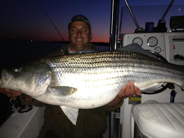 Maryland Rockfish